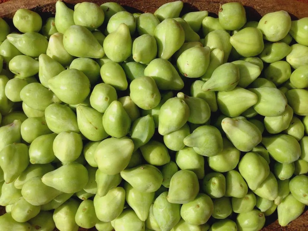 Kakadu Plum Extract
