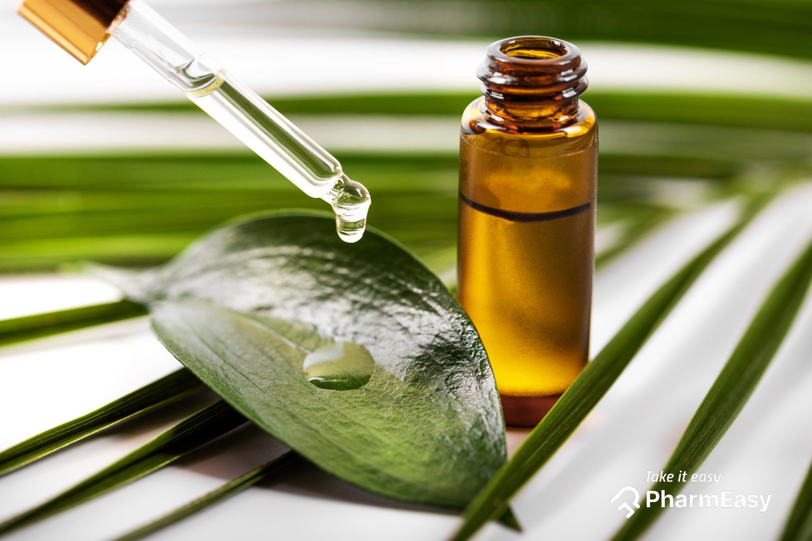 Tea Tree Extract